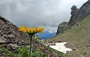 Pizzo dei Tre Signori (2554 m) da Ornica il 19 luglio 2020